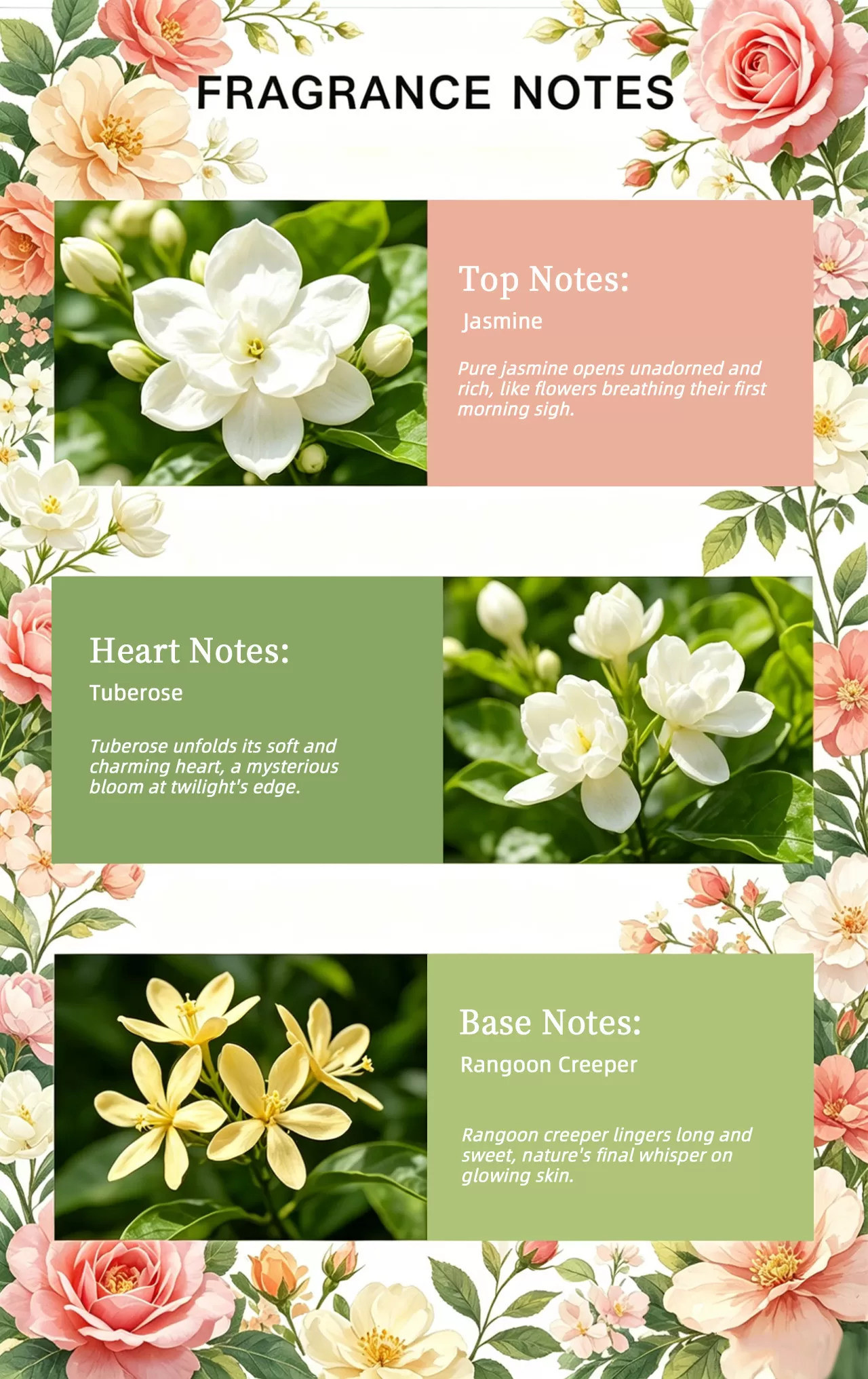 Delicate PETAL GLOW EDP Floral Perfume | Professional Vendor for Bulk Supply, White Label and Scent Customization