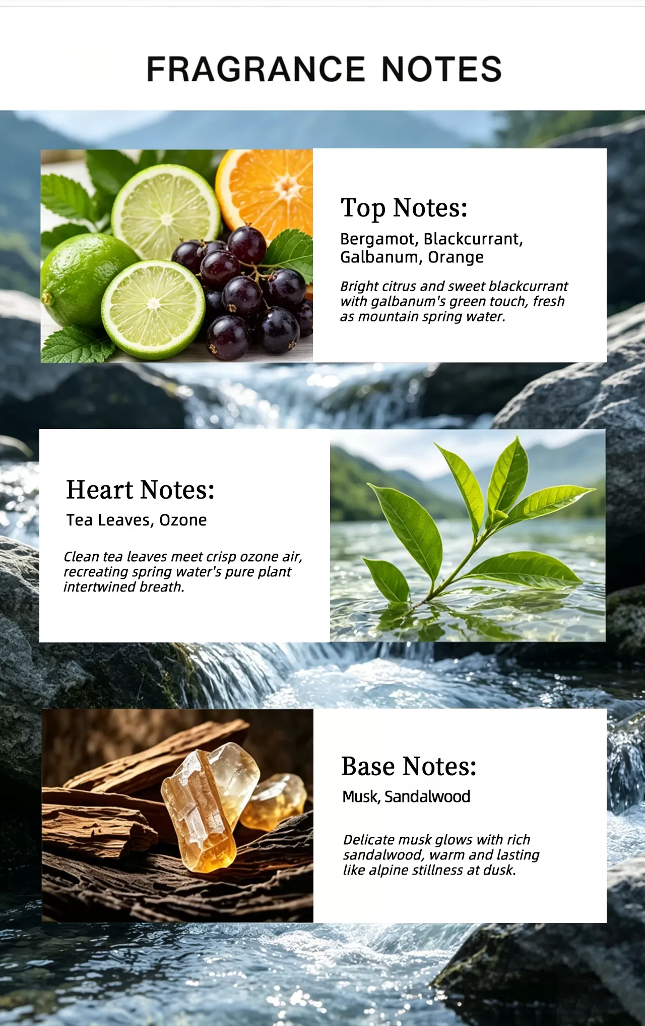 Refreshing Citrus Unisex EDP SILVER PEAK  Private Label Service Custom Packaging & Bulk Order Support